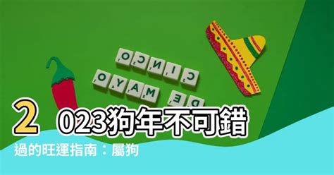 2023屬狗幸運物|【2023屬狗幸運物】2023屬狗幸運物大公開！幫你招財又好運